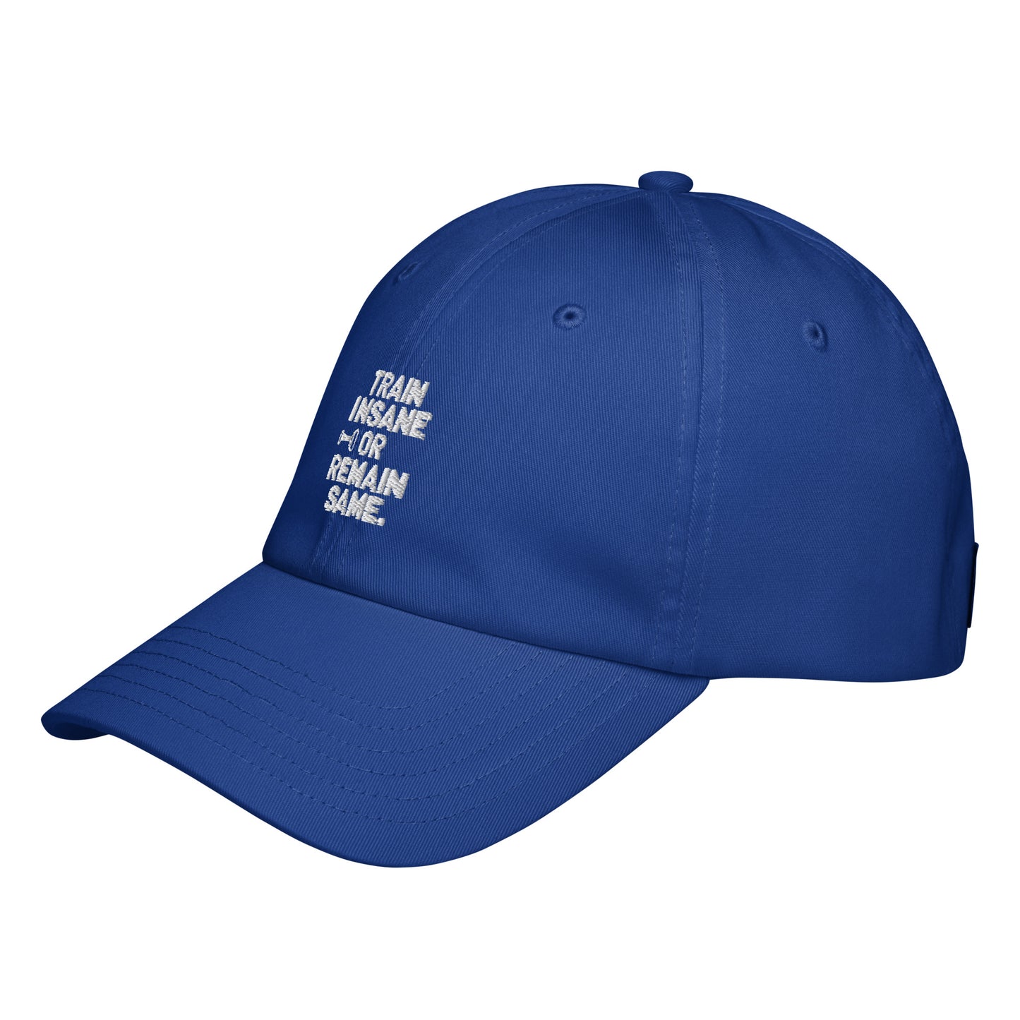 Train insane or remain same Under Armour® dad hat (Dark variant)