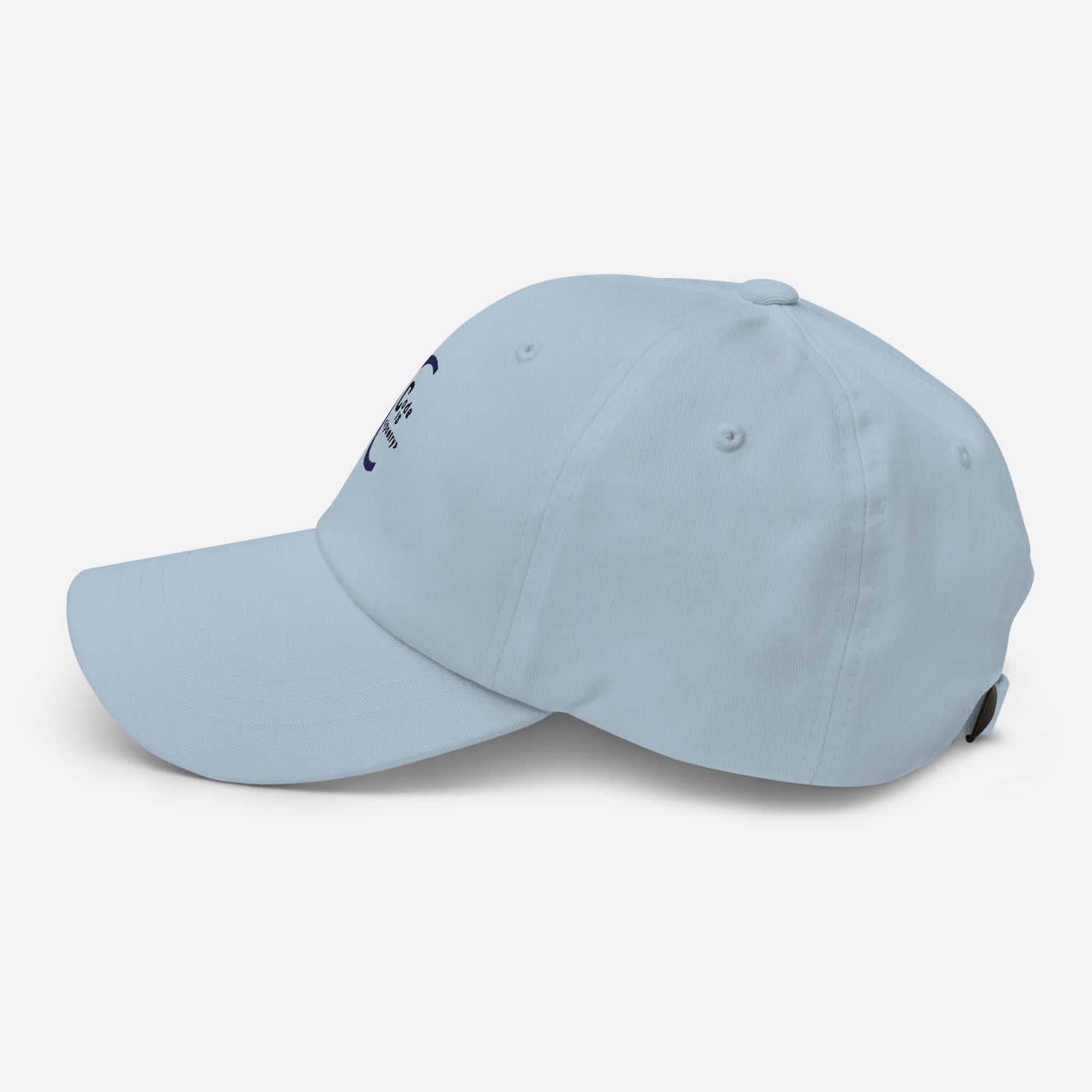 Code is Poetry Dad hat (Light Variant)